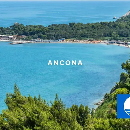 Daire Vvr6 By Homes In *